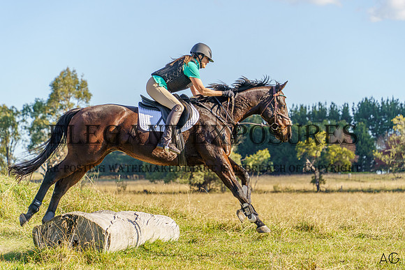 _AJG3521