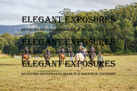 _AJG8147