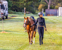 BRC - Dressage - Extra Memories- 17.05.2026