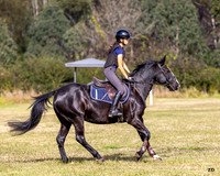 HARA XC - FH - Group 2 - 24.05.2026
