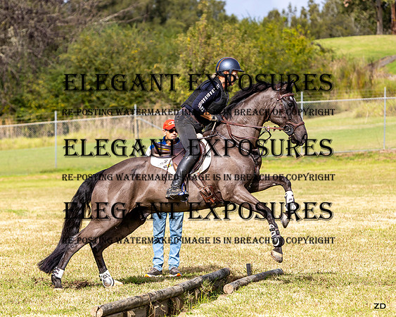 ZJD-6983