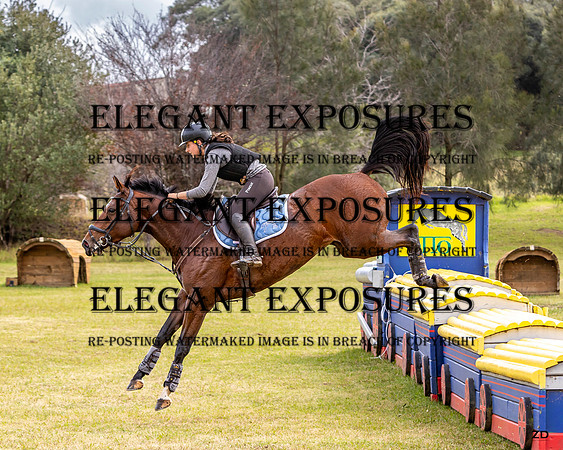 ZJD-7154