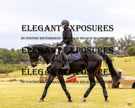 ZJD-8332