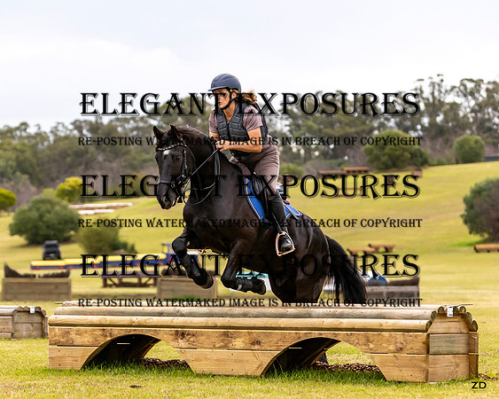 ZJD-8374