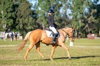 OLS_2681