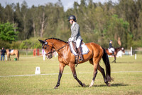 OLS_0993