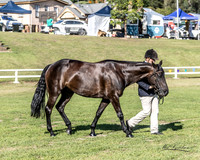 MKG_3935