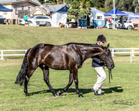 MKG_3936
