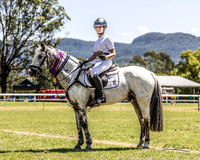 Showjumping