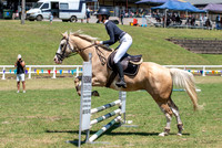 OLS_1527
