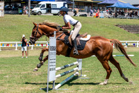 OLS_1538