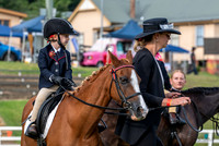 OLS_0452
