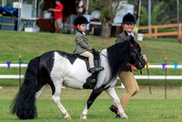 OLS_0462