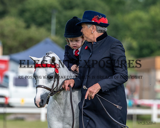 OLS_0478