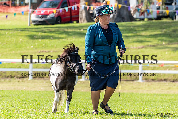 OLS_0617