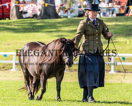 OLS_0648