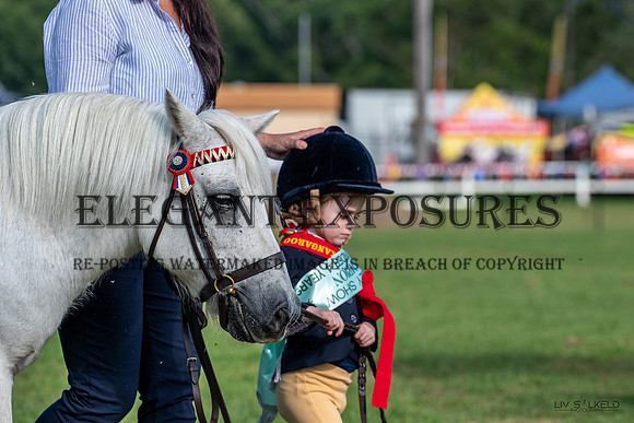 OLS_0529