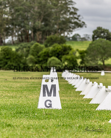 MKG_6397
