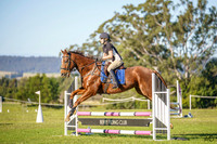 _AJG2548