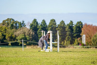 _AJG2624