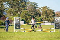 _AJG2856