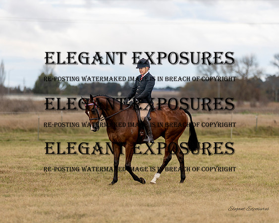 Ma4-3772