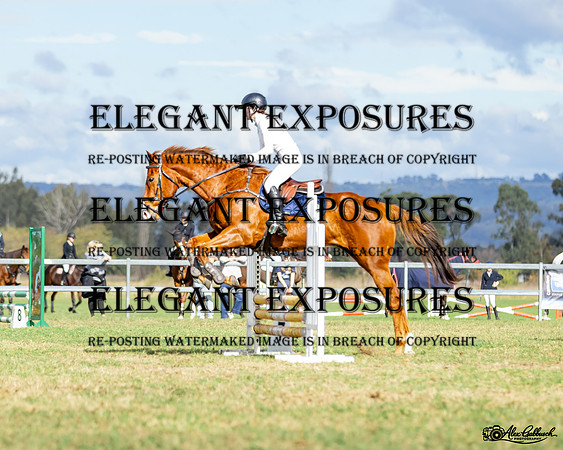 AG_4378