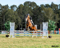 AG_4401