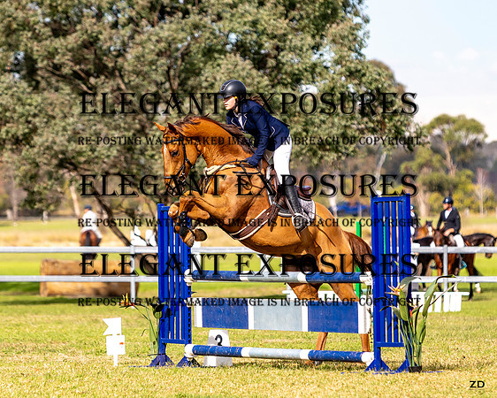 ZJD-9716