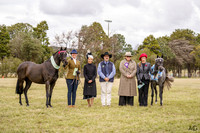 All Breeds Foal & Youngstock Show 14.6.2026