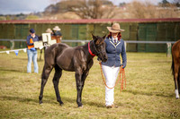 _AJG4685