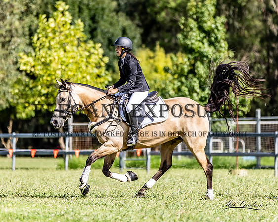 MKG_8546