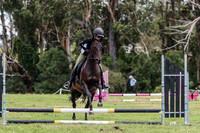 KMS-4705