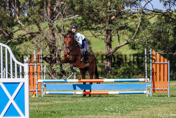 KMS-2-11