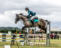 Showjumping