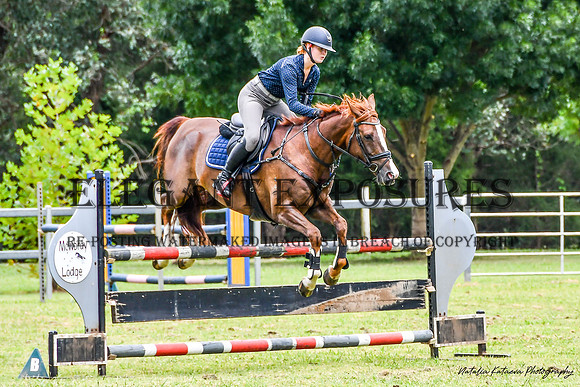 NYK(OS)-7331