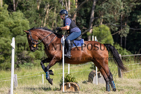 MHP_1796