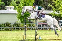 Showjumping