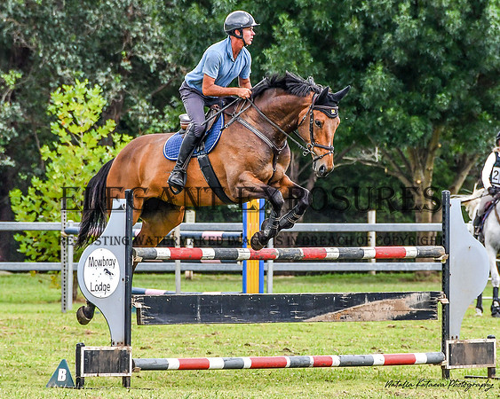 NYK(OS)-8017