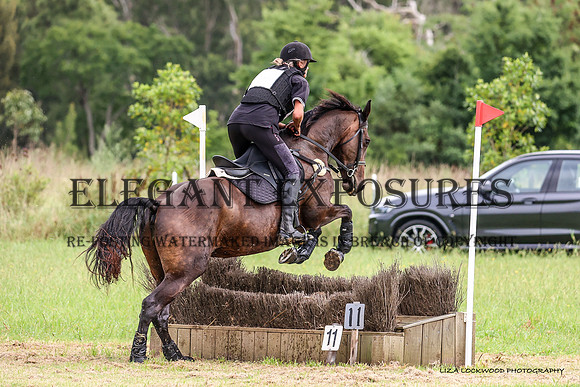 LHL(OS)-5568