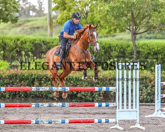 LHL(MS)-0443