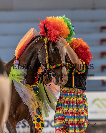 MKG_6546