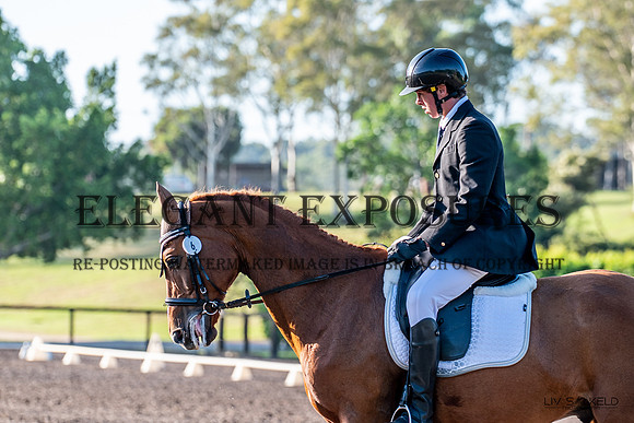OLS_1733