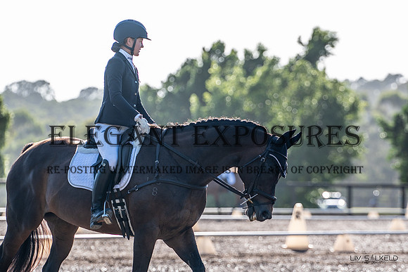OLS_2013