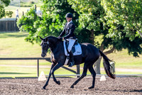 EvA95 Dressage