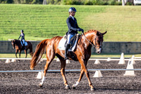 Syd EVT Sat - Dressage CCN2*