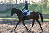 OLS_1728