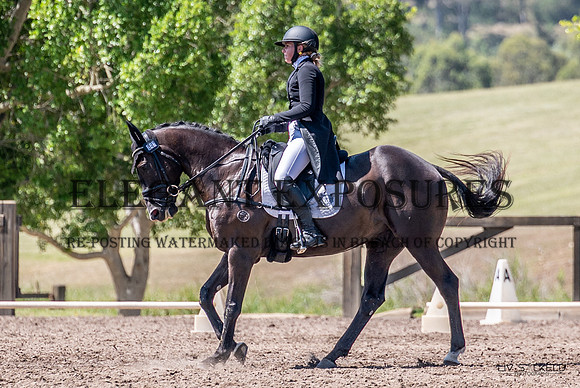 OLS_4068