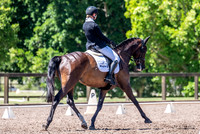 CCN3* Dressage