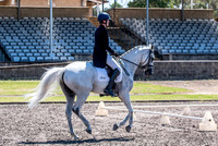 OLS_4453